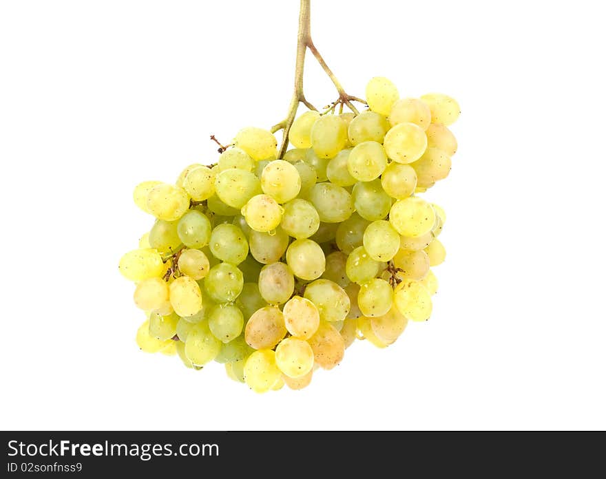 Cluster of white grapes