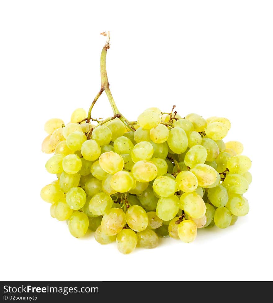 Cluster of white grapes