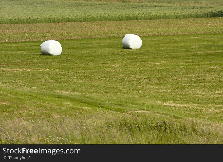 Hay on the field in the morning light. Hay on the field in the morning light.