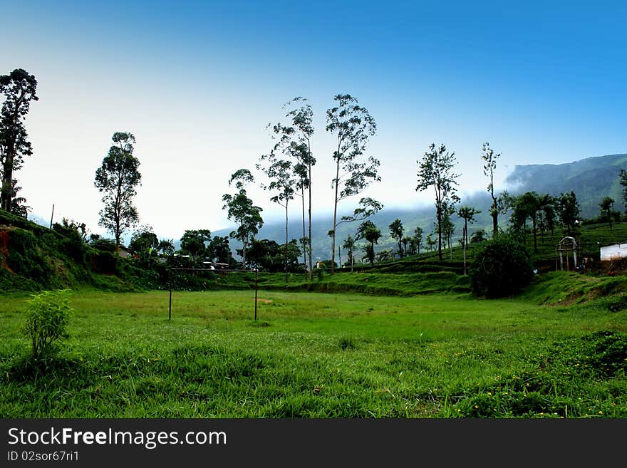 Heavenly Hillside in the mountain city of Nawalapitiya - Sri Lanka