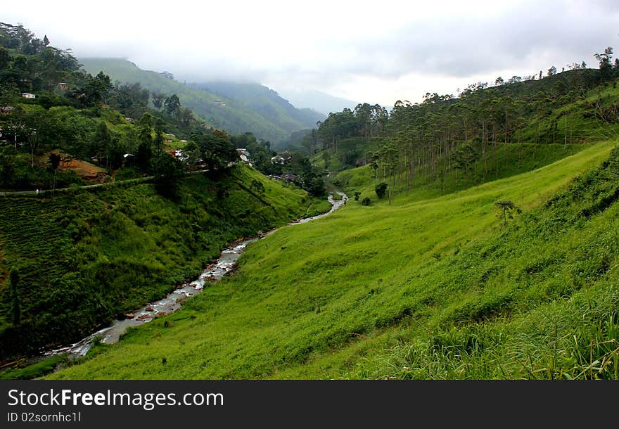 The Beauty of Hills