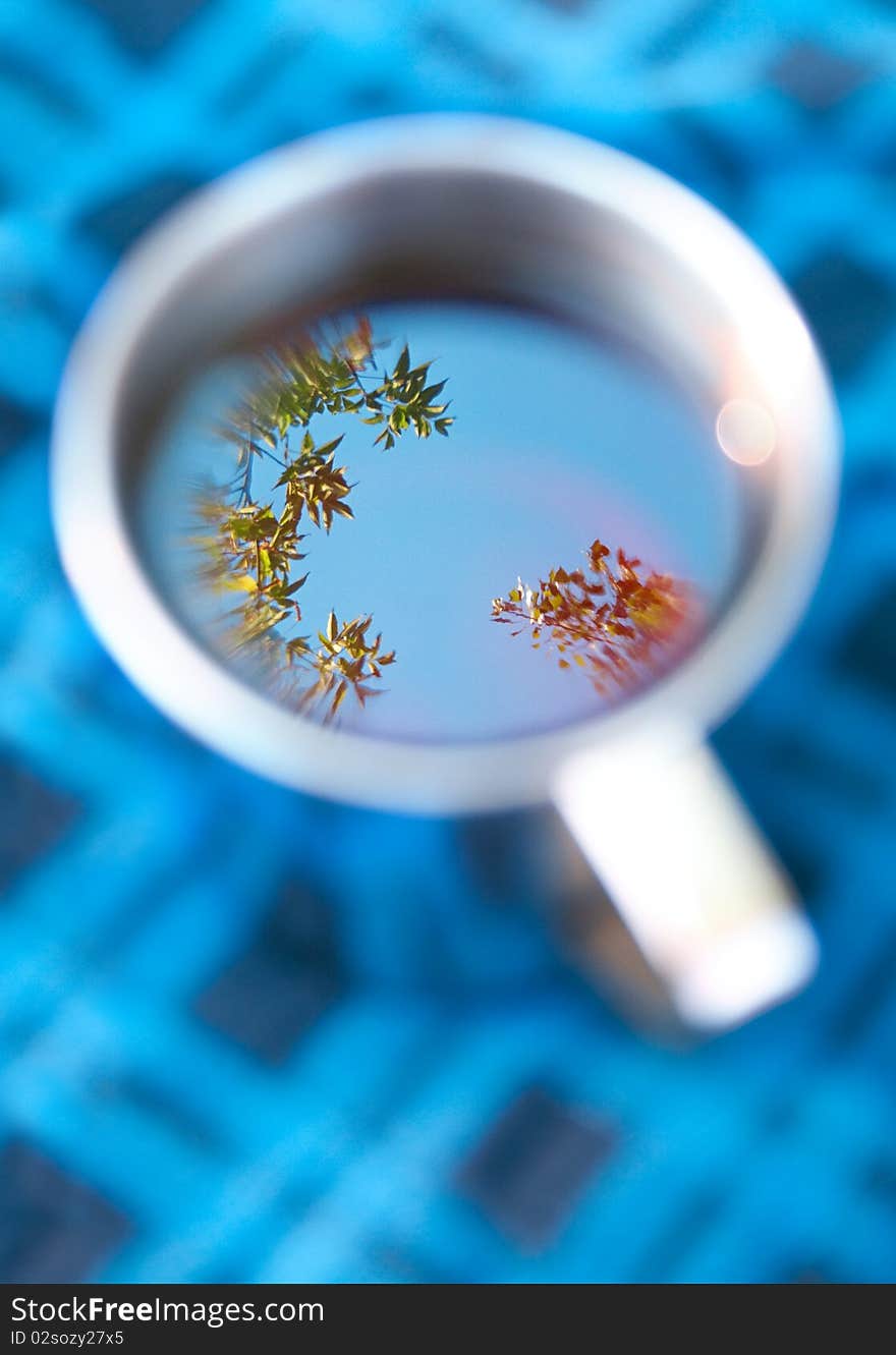 Cup with leaves and sky reflection. Cup with leaves and sky reflection