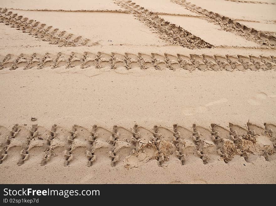 Tracks in sand.