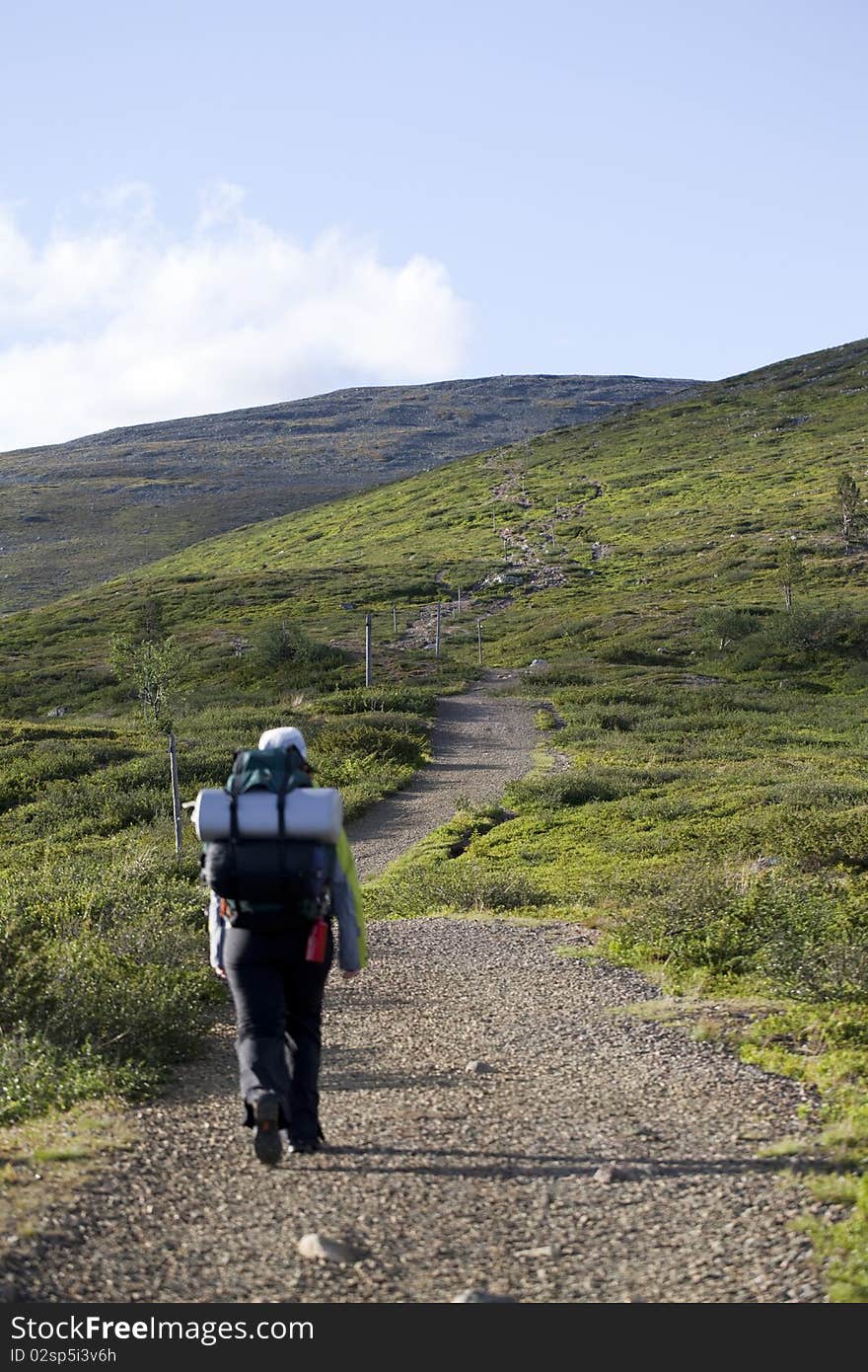 Woman hiker in a national park in Northern Finland. Woman hiker in a national park in Northern Finland.