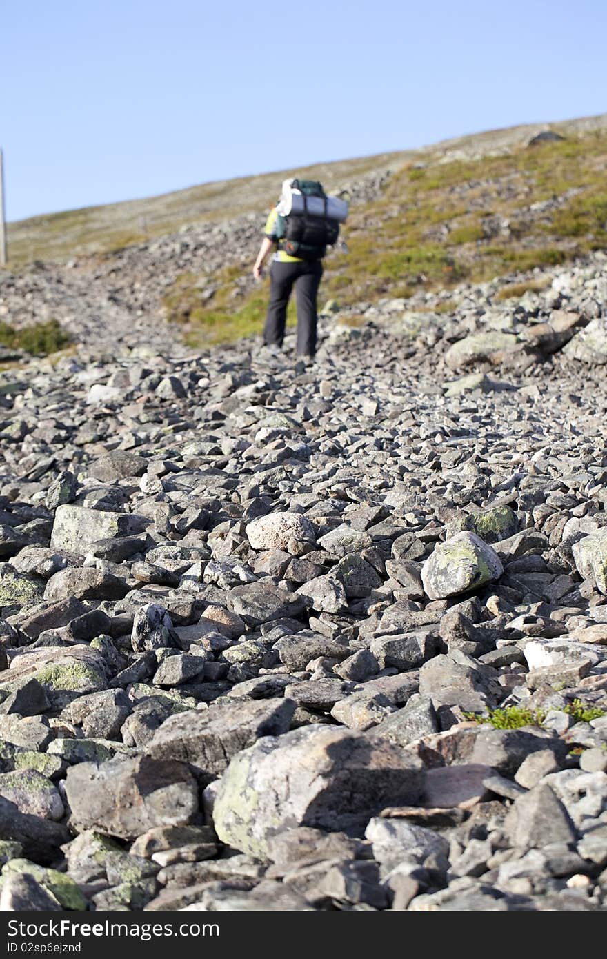 Woman hiker in a national park in Northern Finland. Woman hiker in a national park in Northern Finland.