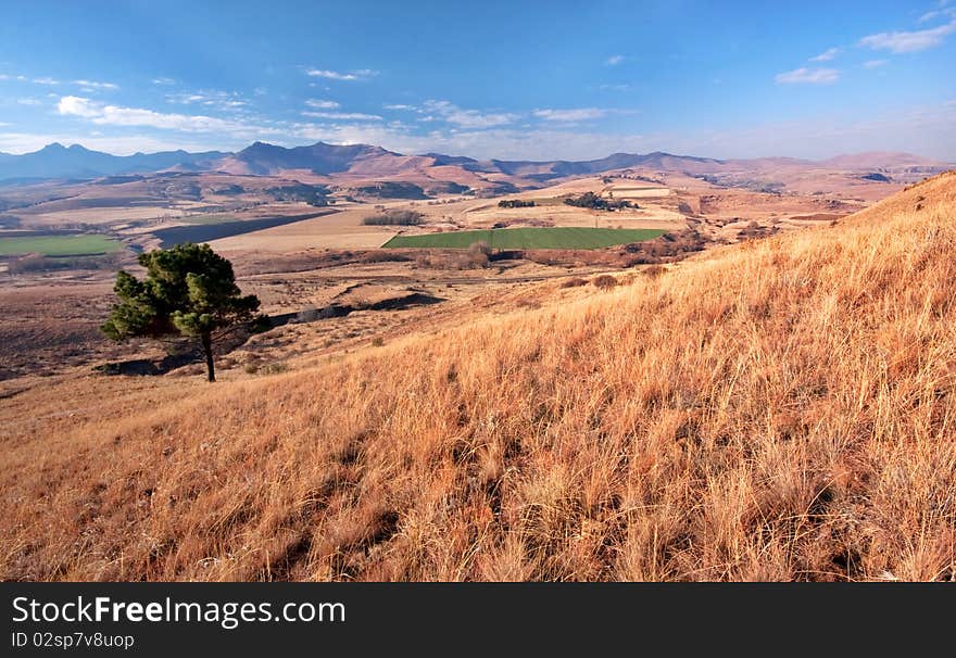 Scenic view from mountain overlooking winter landscape in Drakensberg mountains in South Africa with cultivated farm fields and lone single pine tree. Scenic view from mountain overlooking winter landscape in Drakensberg mountains in South Africa with cultivated farm fields and lone single pine tree