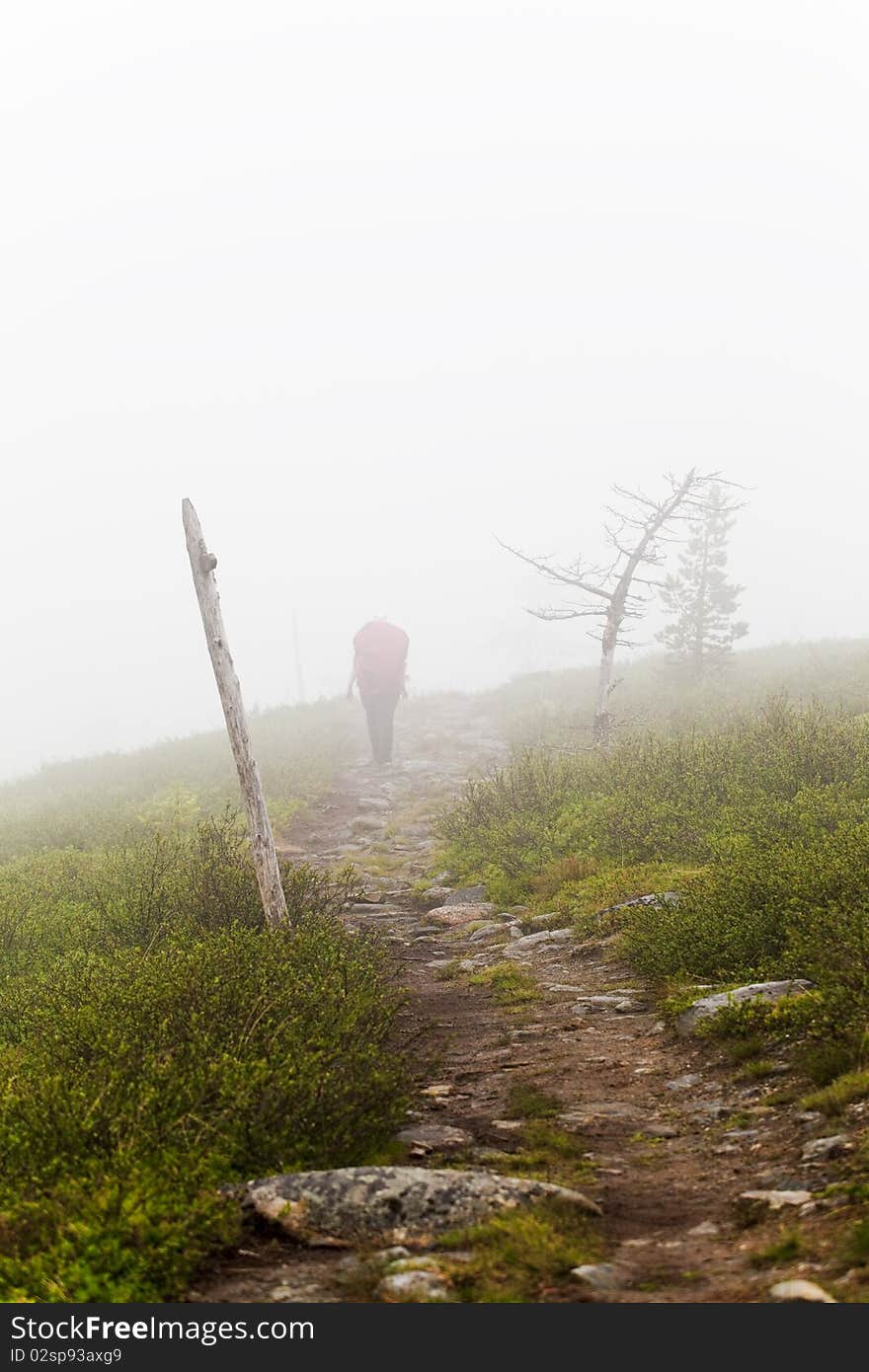 Hiking In Lapland