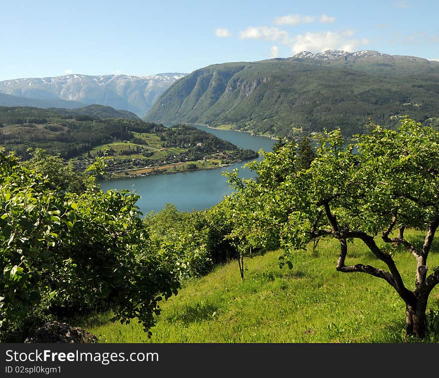 View over Hardangerfjord, Norway