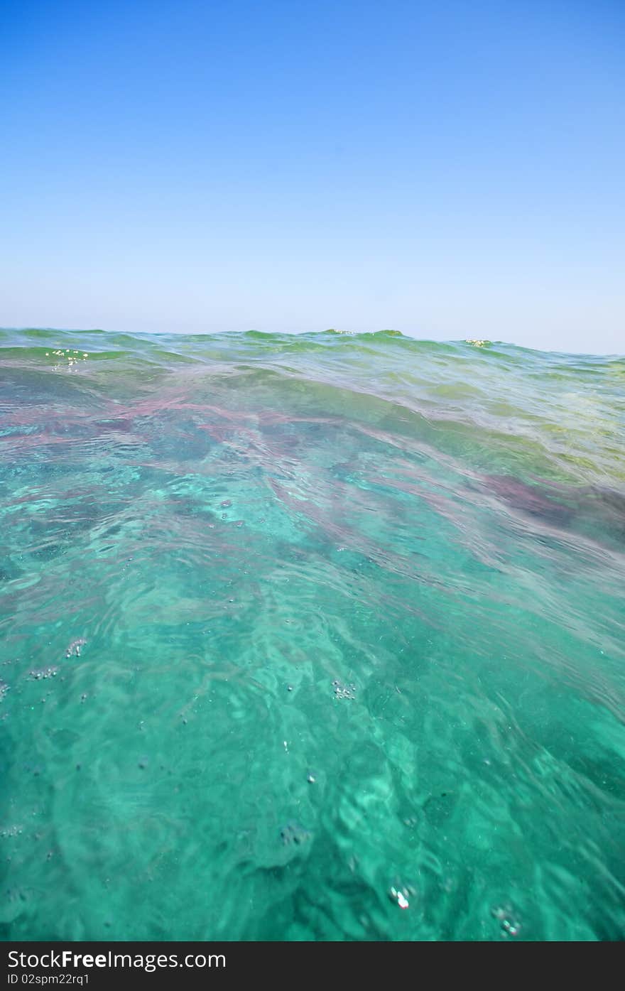 Seashore with waves and foam and blue sky