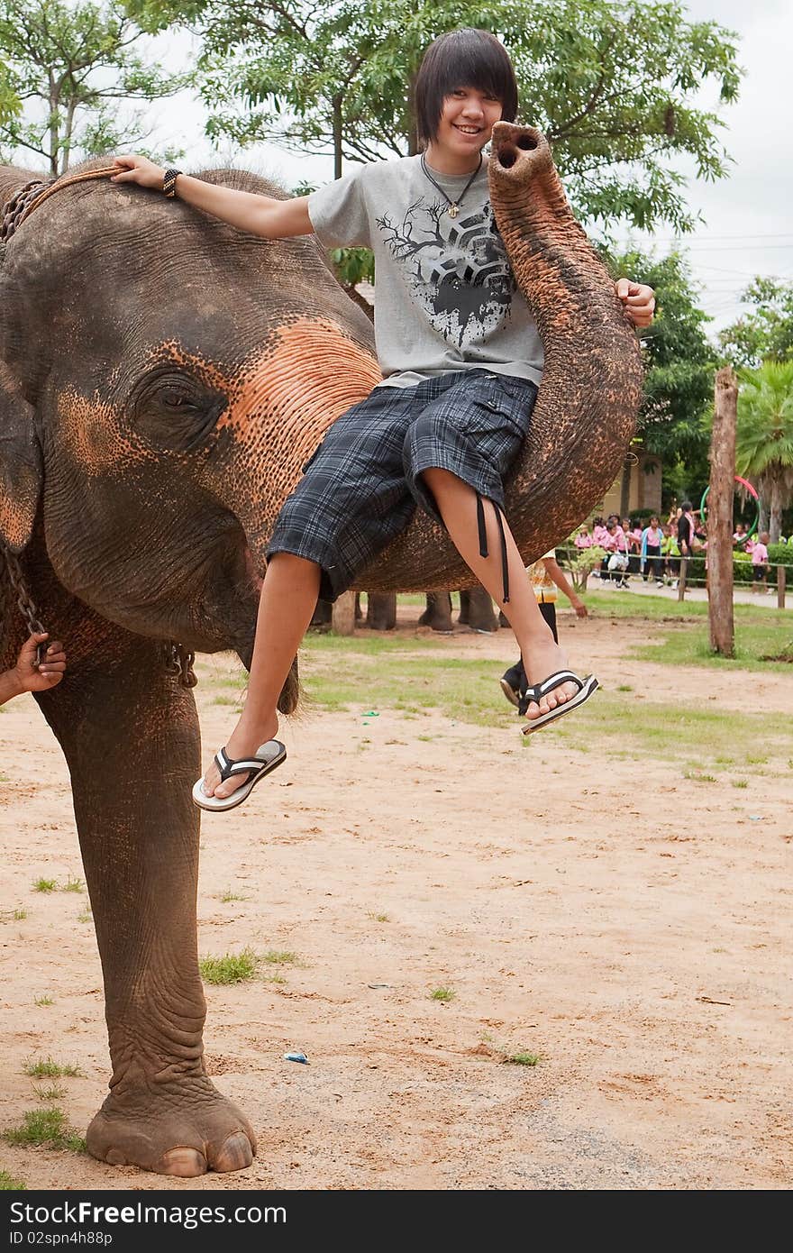 Teenager Sit On Elephants Trunk