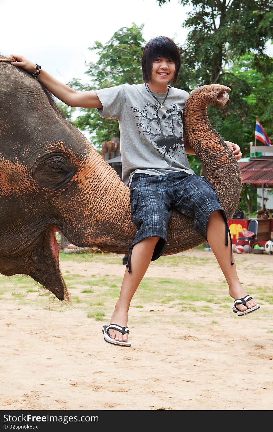 Teenager sit on elephants trunk, adventure in Surin, Thailand