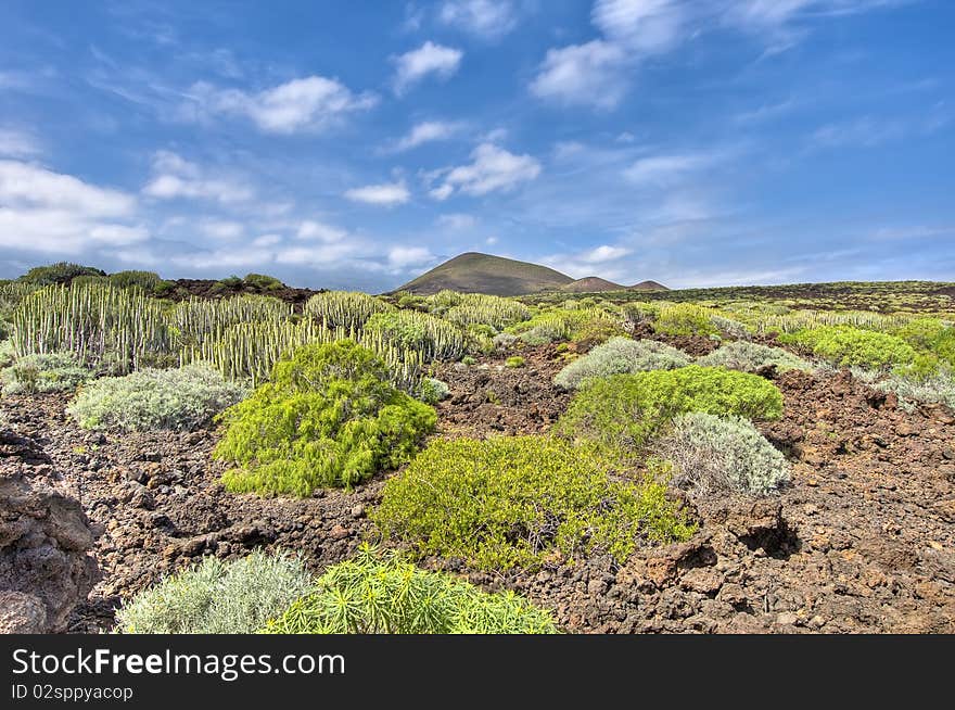 Protected Natural Space of Malpais de Guimar, Tenerife Island