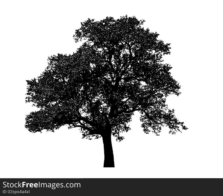 Lonely black tree graphic isolated on white background. Lonely black tree graphic isolated on white background