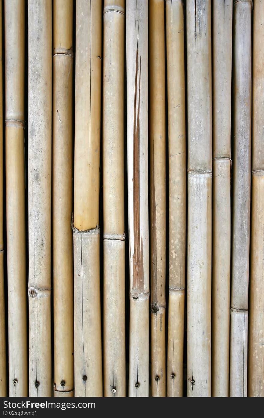 Pattern of Bamboo wood wall