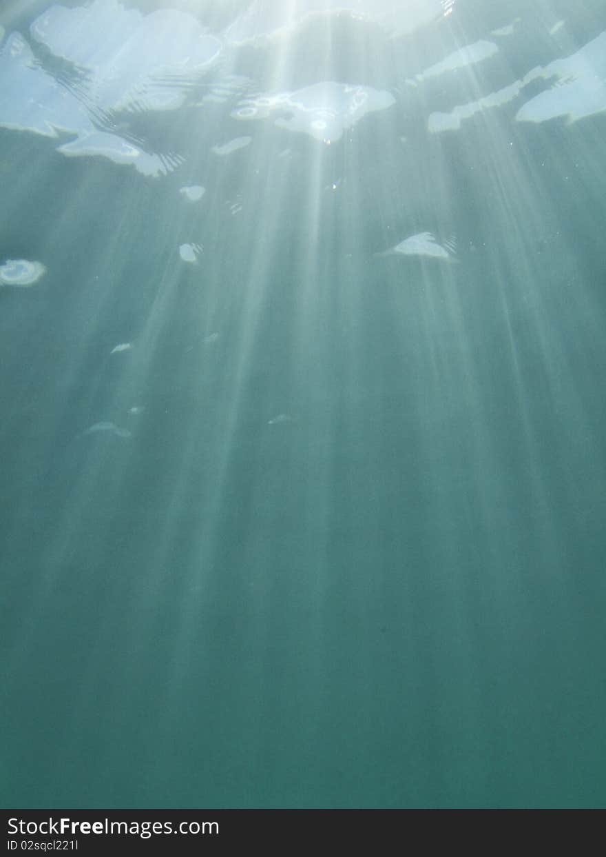 Underwater view of water surface