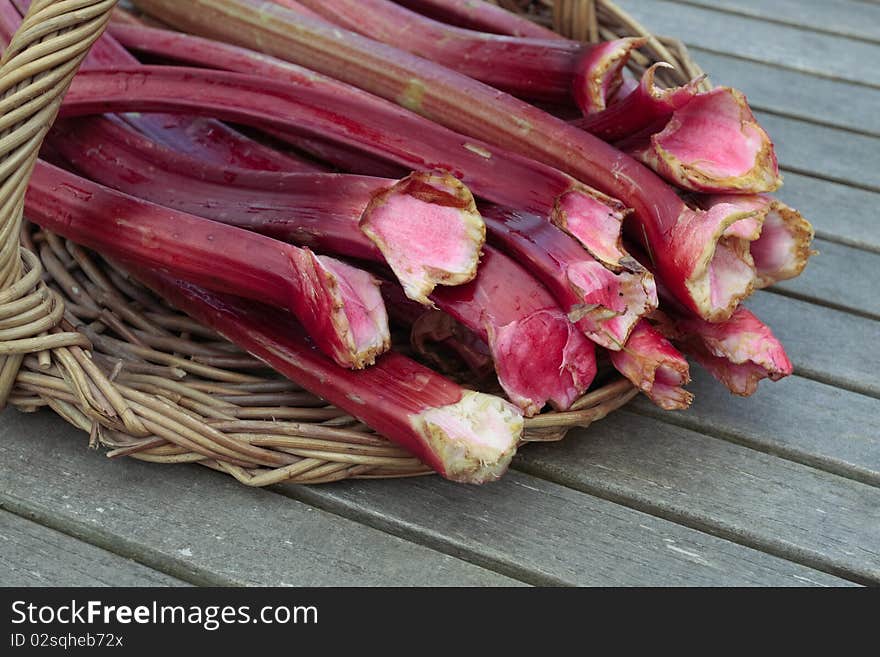 Fresh rhubarb shoots  closeup on basket. Fresh rhubarb shoots  closeup on basket