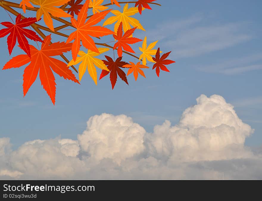 Autumn leaves frame against cloudy sky