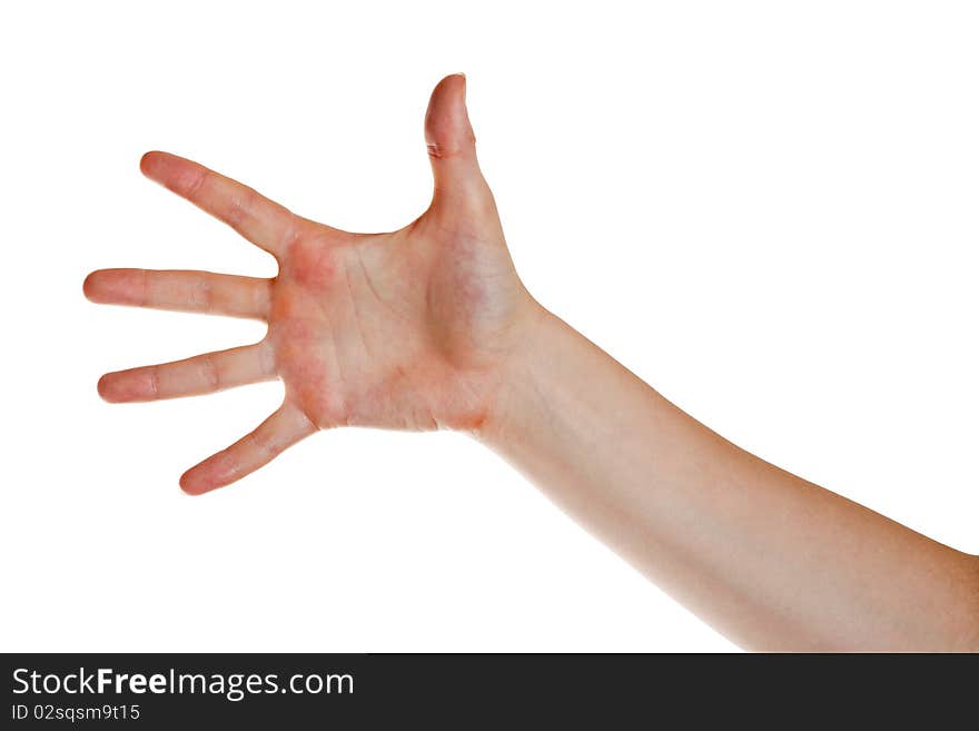 The hand of the young woman located on a white background. The hand of the young woman located on a white background