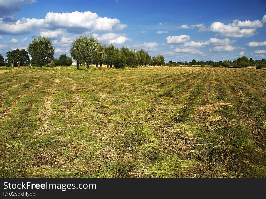 Ten reams of straw on reaped field. Ten reams of straw on reaped field