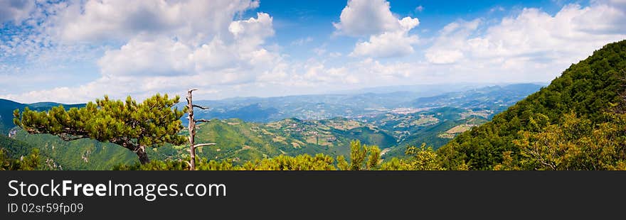 Viewpoint Of Mountain Tara Panorama