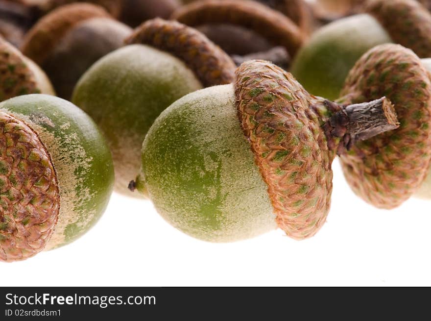 Acorns isolated on the white background. Acorns isolated on the white background