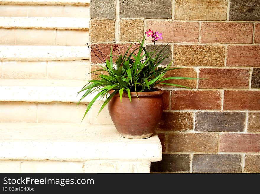 Old grass pot on brick wall