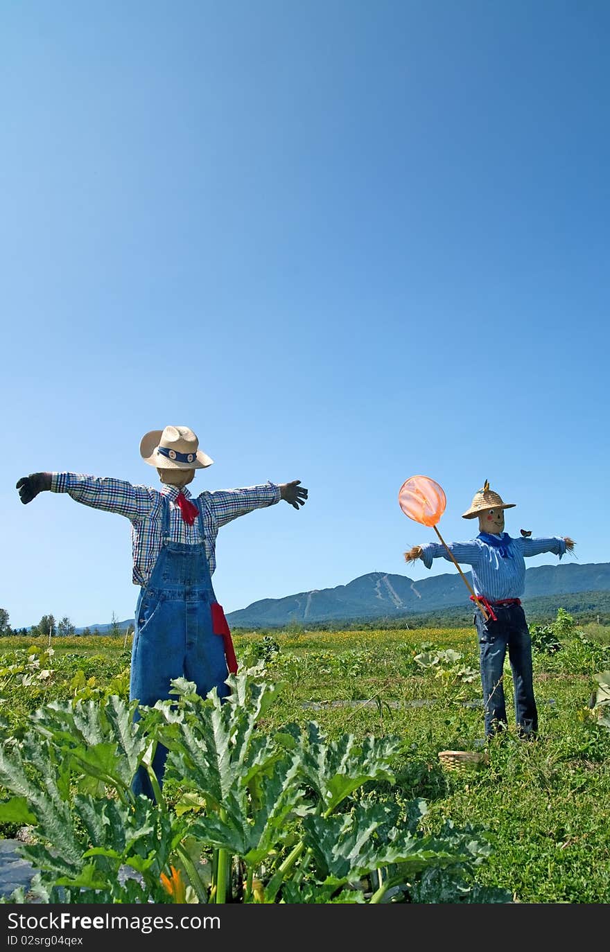 Rural scene ï¿½ two scarecrows in the field.