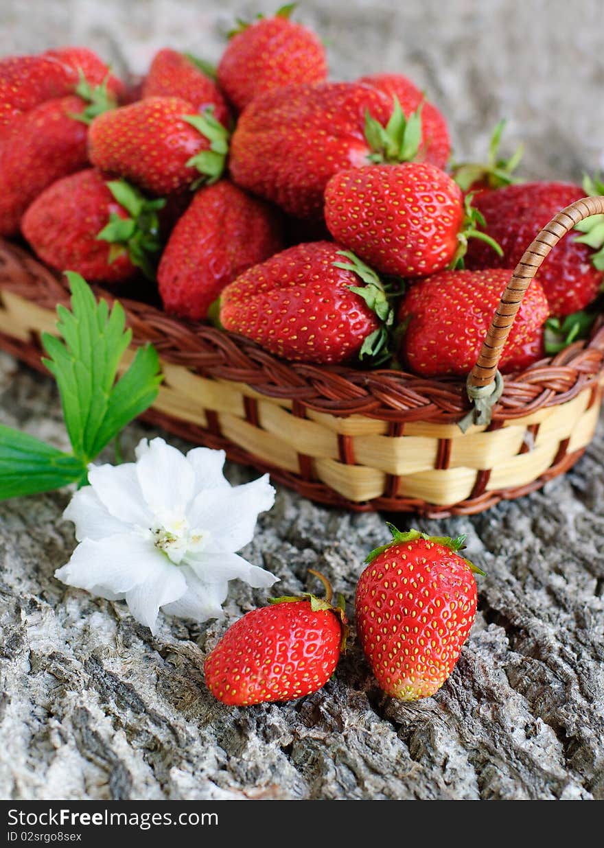 Fresh tasty strawberry in basket. Fresh tasty strawberry in basket