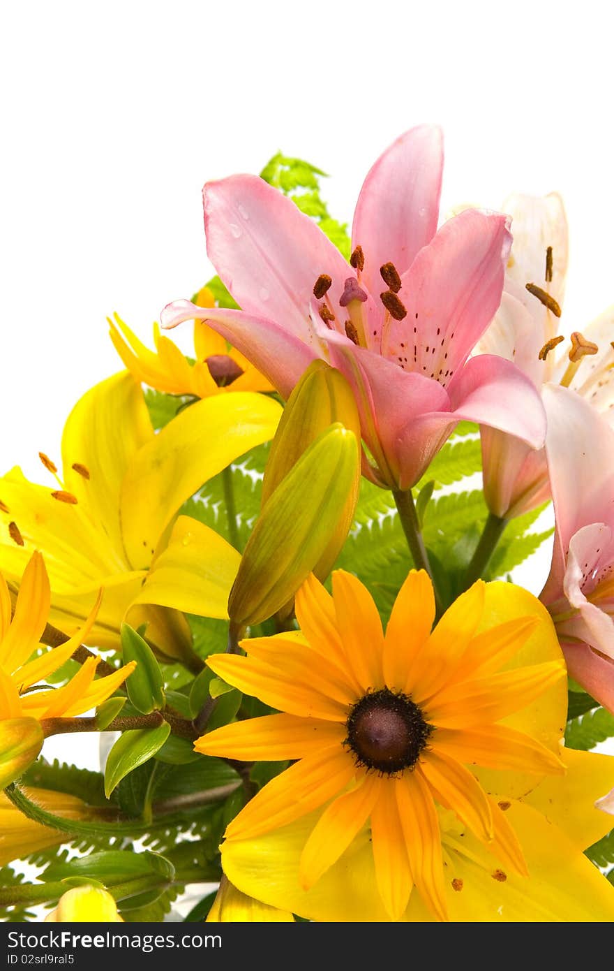 Beautiful bouquet of flowers isolated on white background