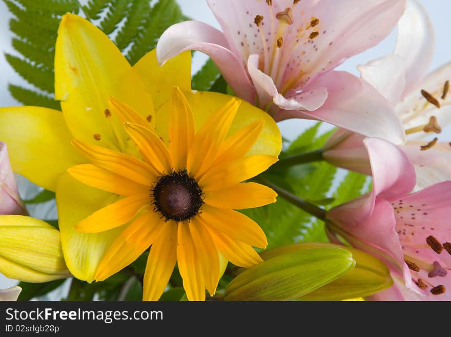 Beautiful bouquet of flowers on blue background