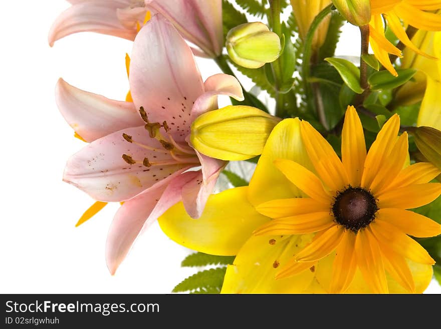 Beautiful bouquet of flowers isolated on white background