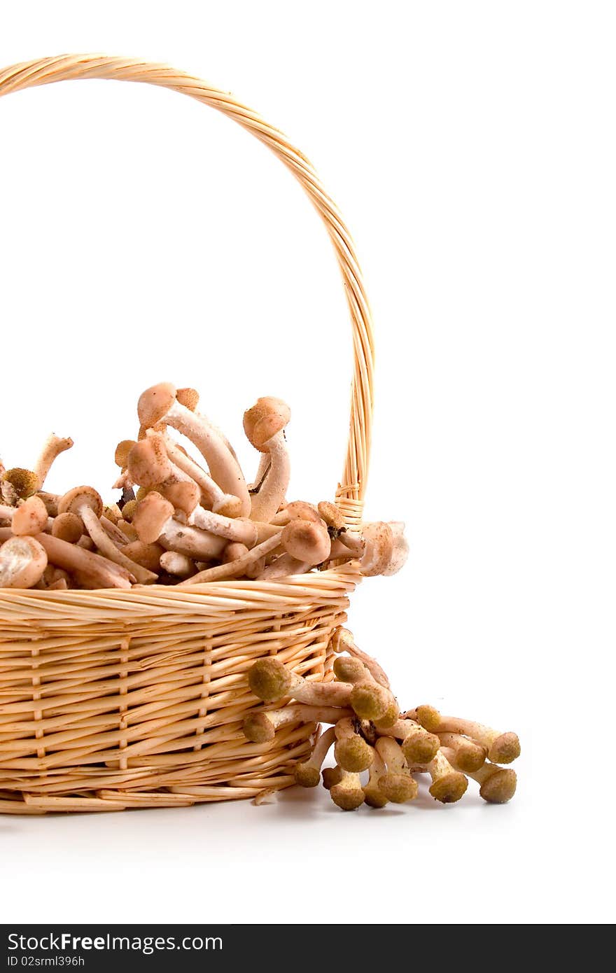 Mushrooms In A Basket