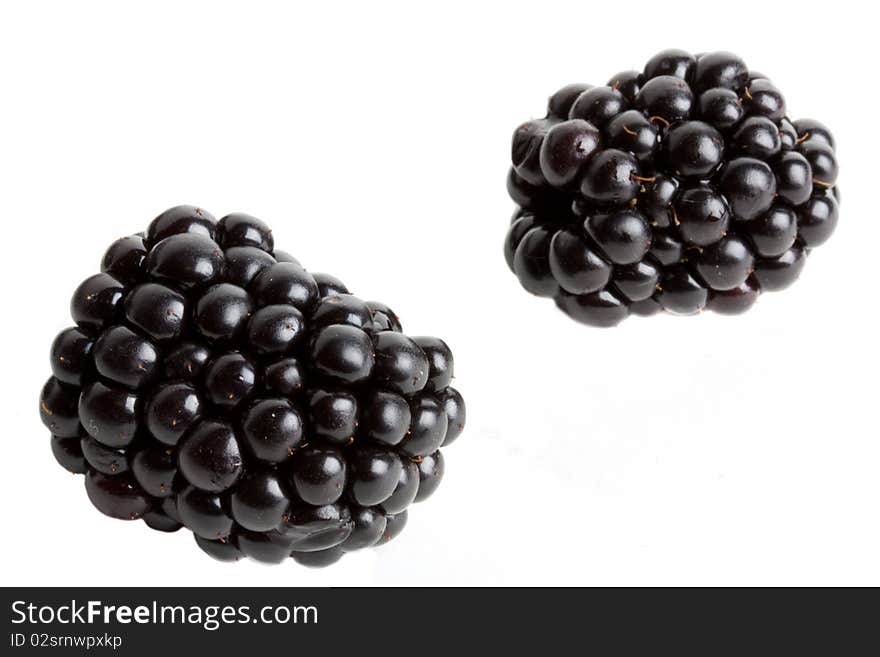 Delicious fresh Blackberries against a white background