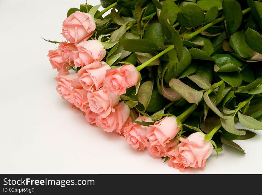 The pink roses bouquet