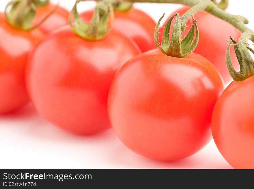 Close up of a cherry tomatoes on vine. Close up of a cherry tomatoes on vine.