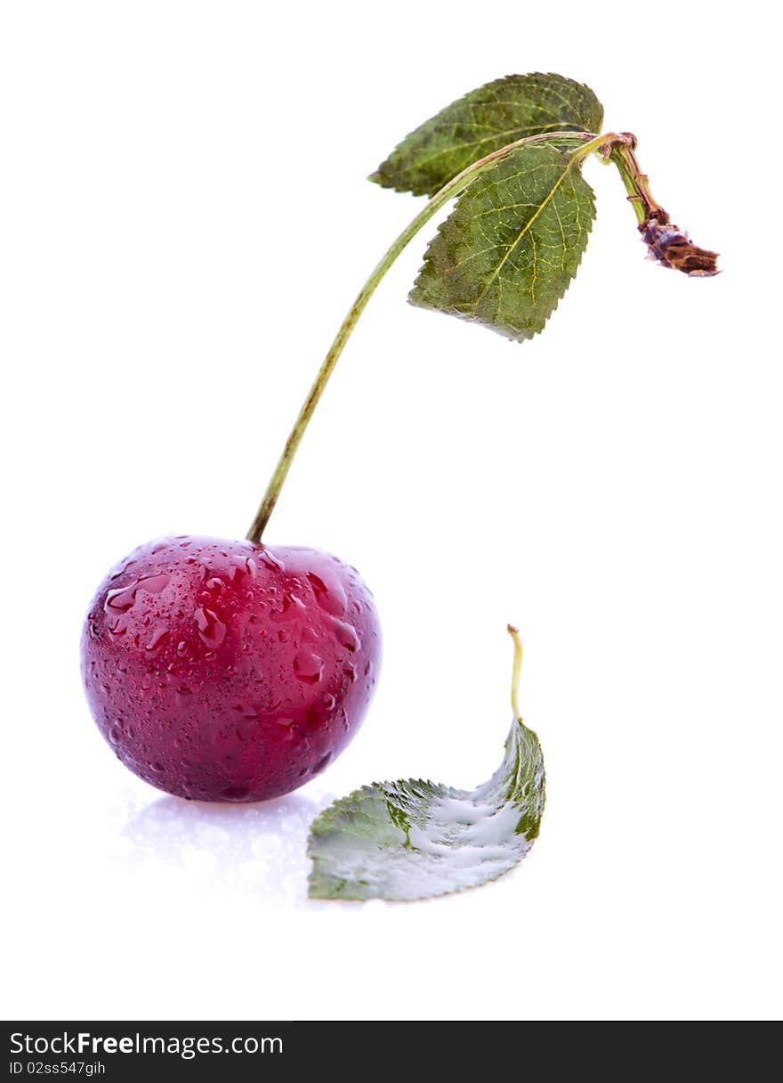 Sweet cherry isolated over white background.