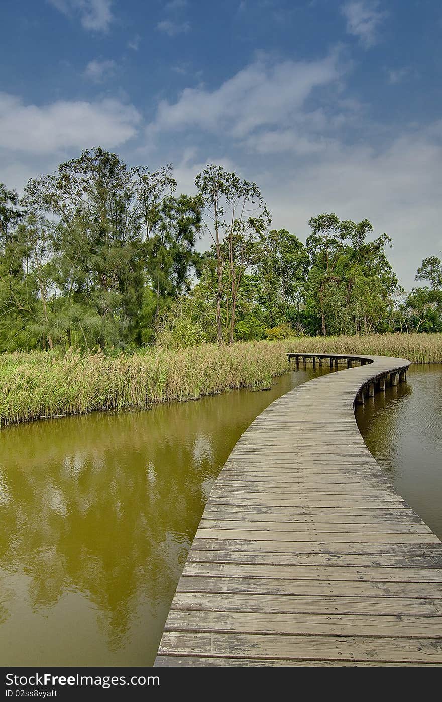 Bridge On the Lake