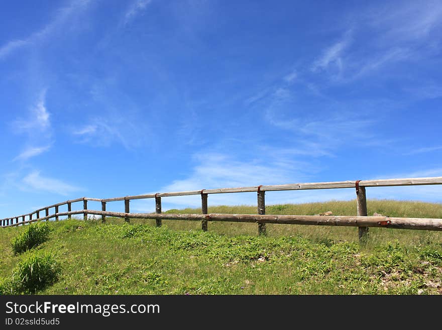 The fence