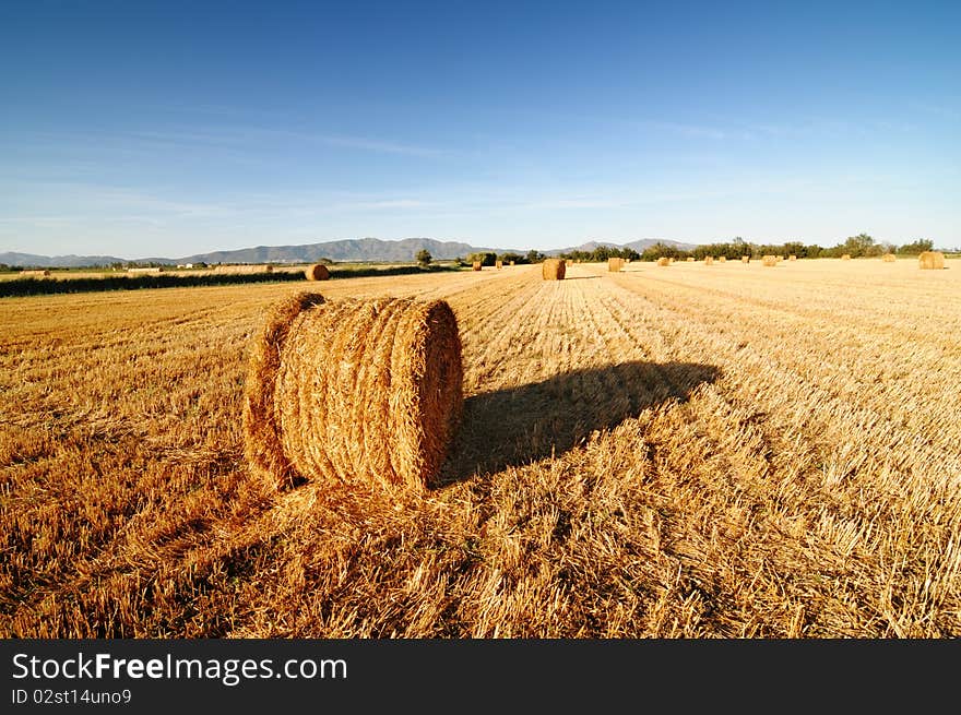 Rolls of hay against mountains.