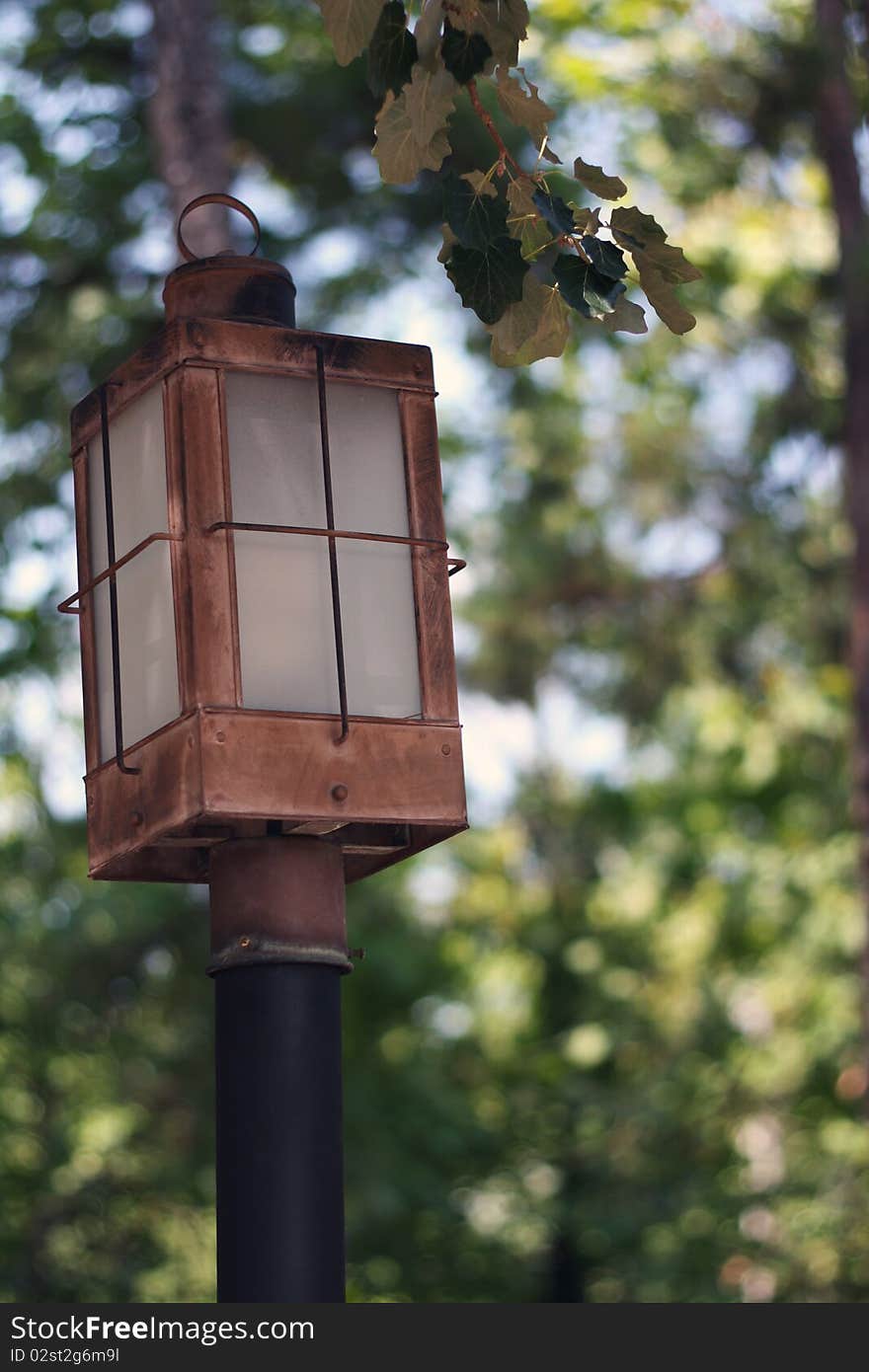 A rustic lamp post in a forest area. A rustic lamp post in a forest area