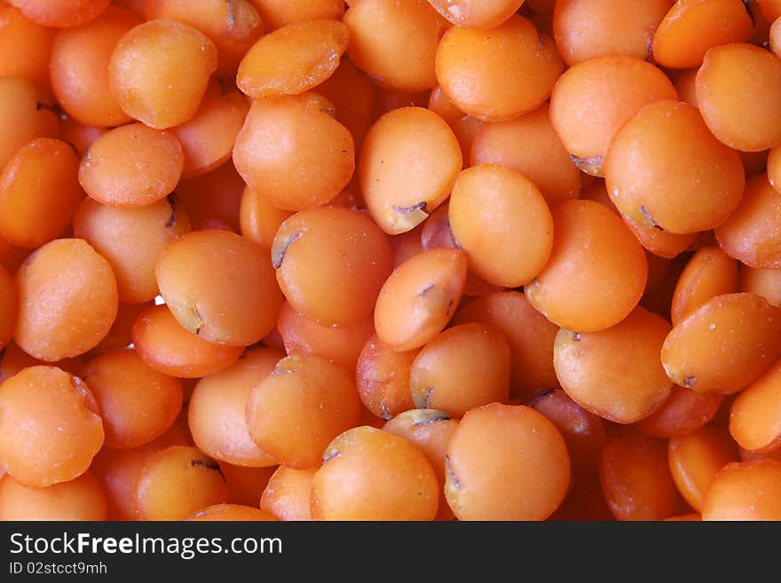 Orange Lentil