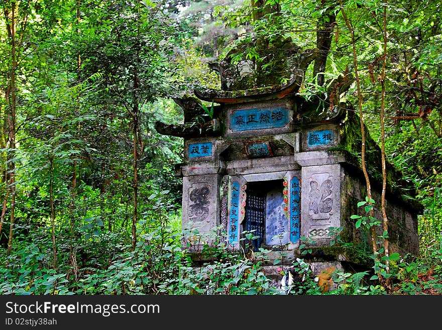 Grave in the forest