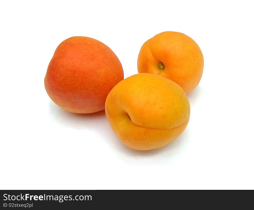 Apricots on a white background.