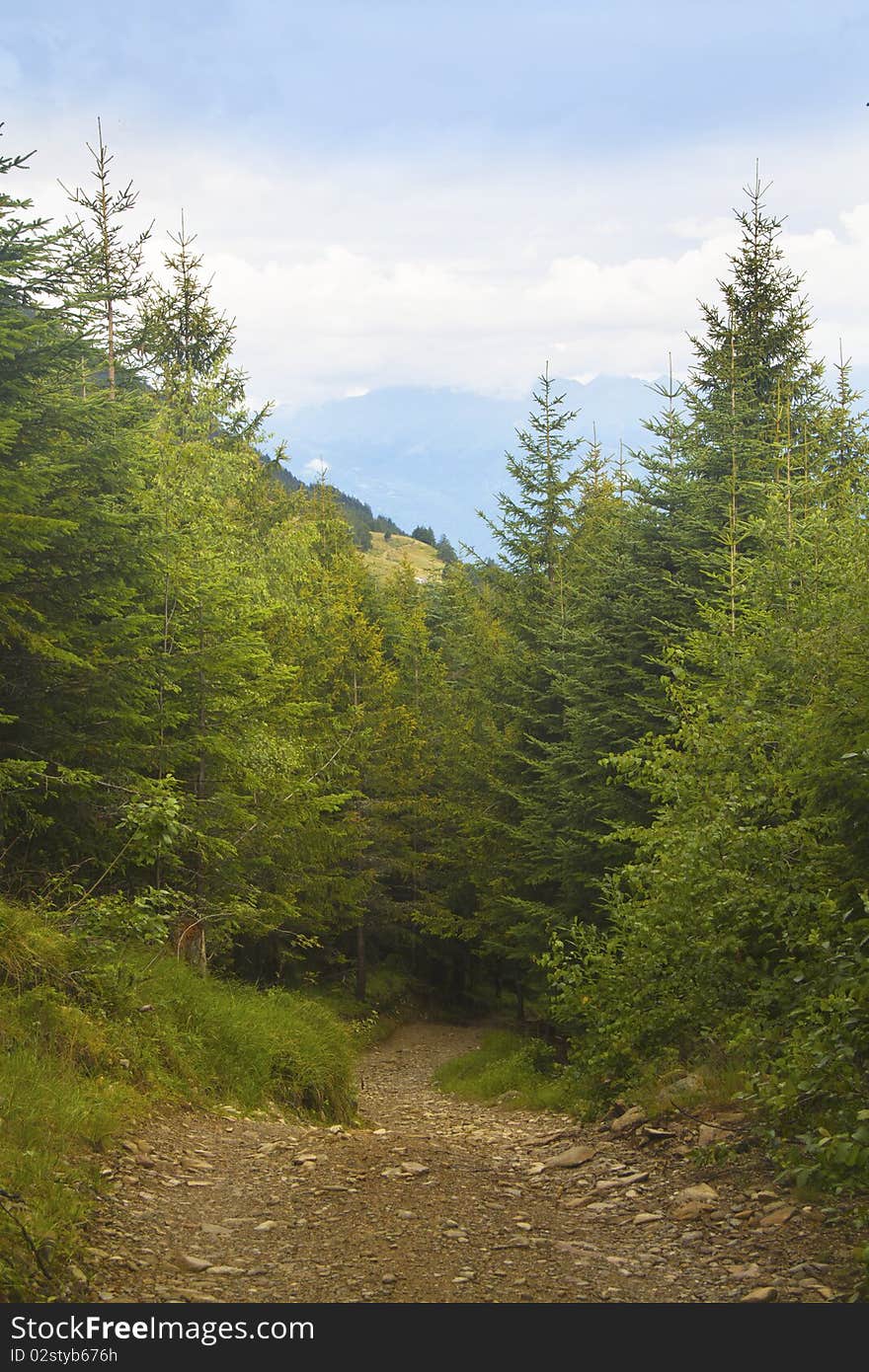 Mountain trail between pastures and forests. Mountain trail between pastures and forests