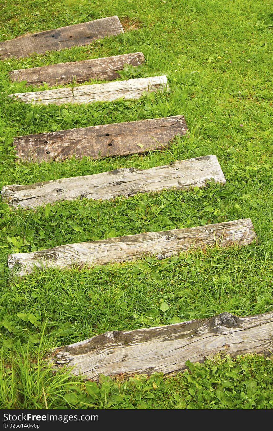 Scale in lawn with wooden steps. Scale in lawn with wooden steps