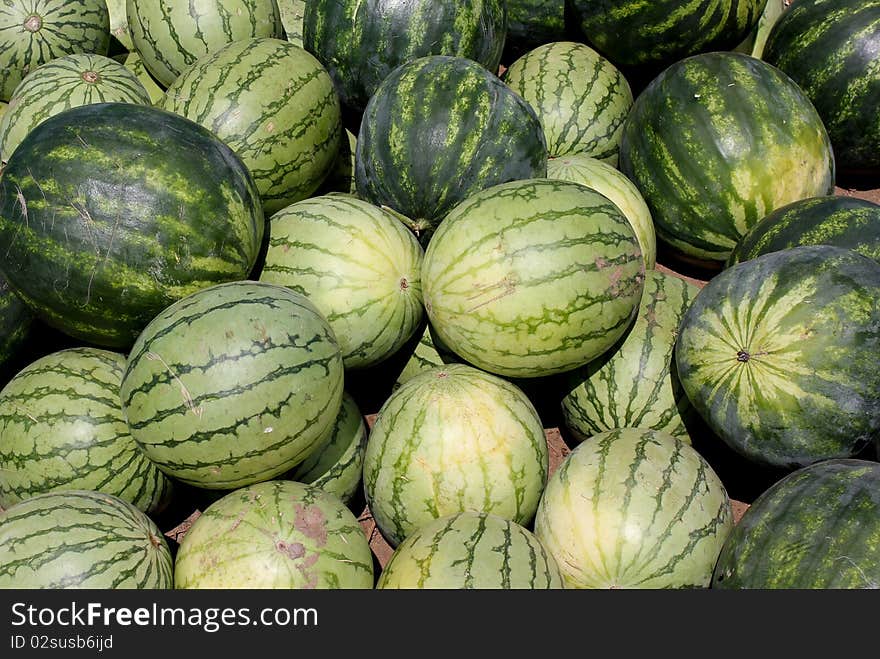 Many ripe and juicy watermelons