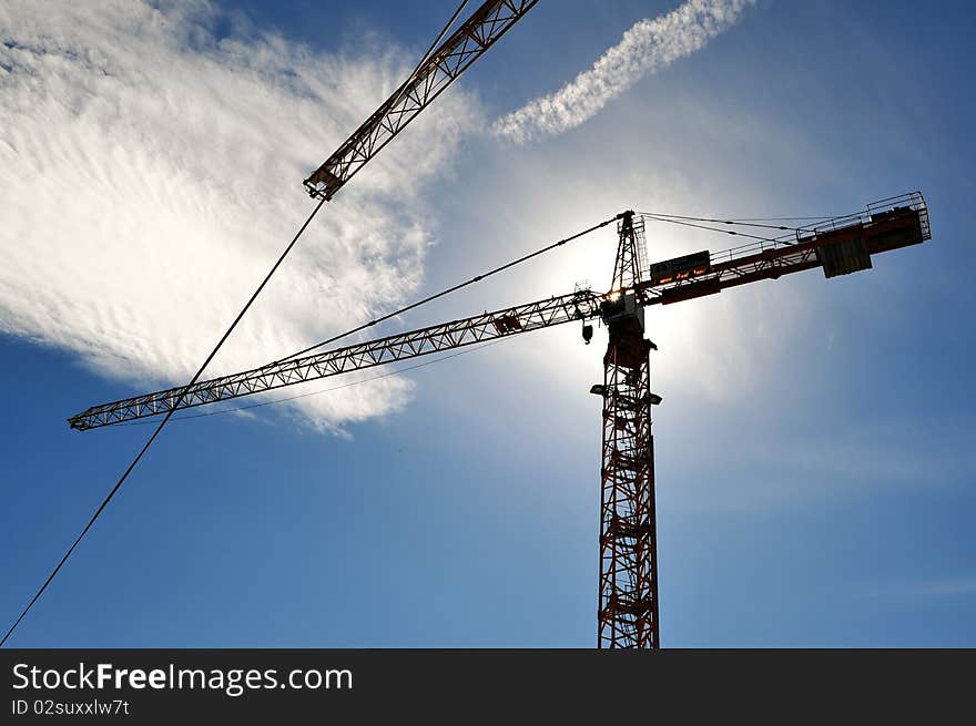 Crane In Beams Of The Sun