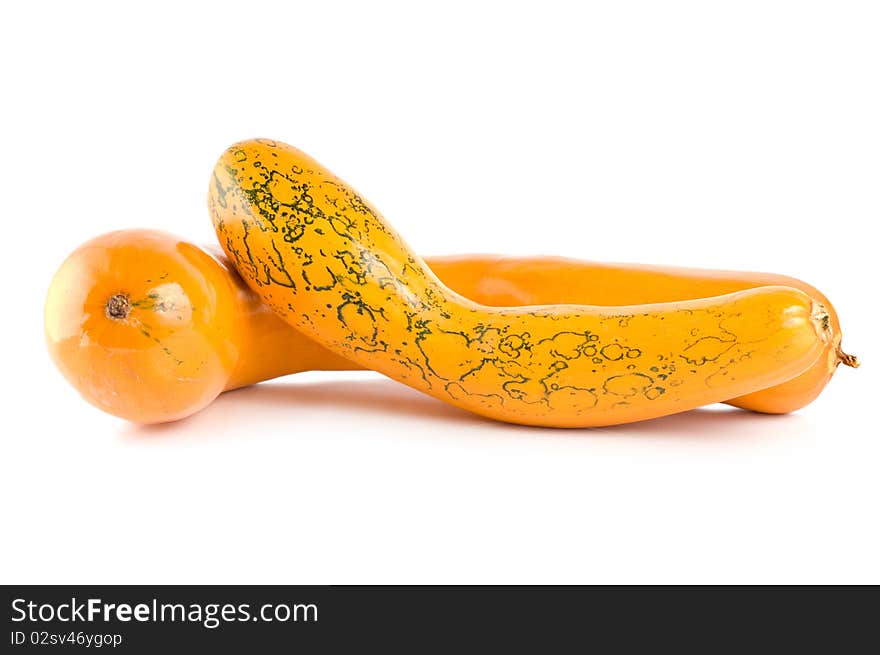 Ripe squash