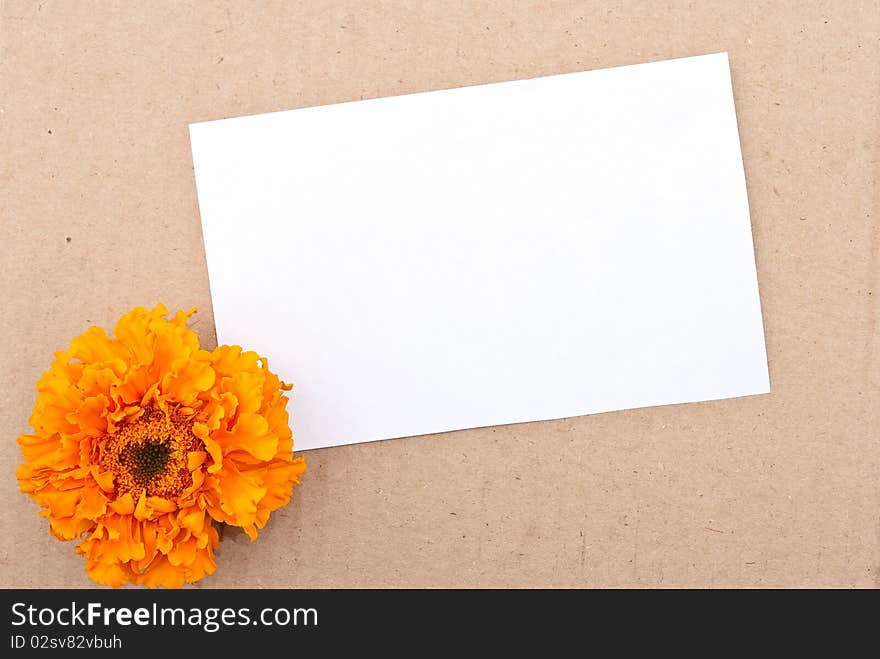 Flower with message-card on cardboard background