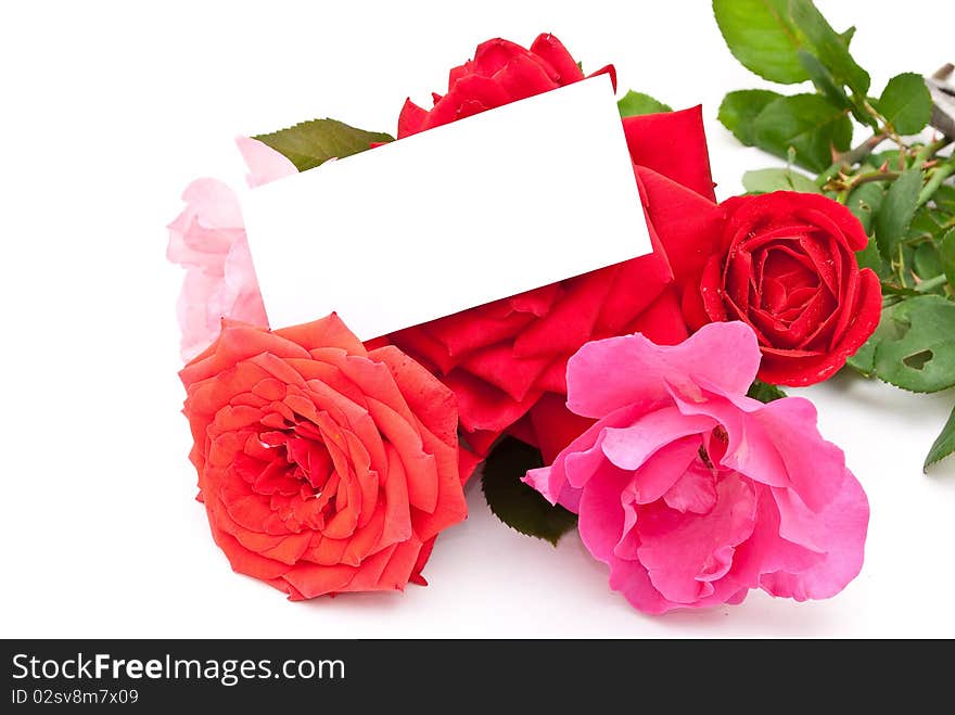 Roses with card on white